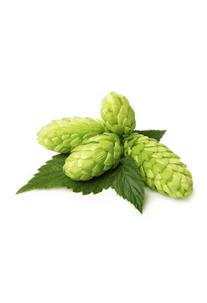 EQUIHERBS 500g hop cones