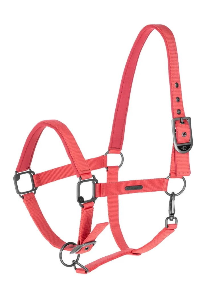 Cavezza COVALLIERO 25