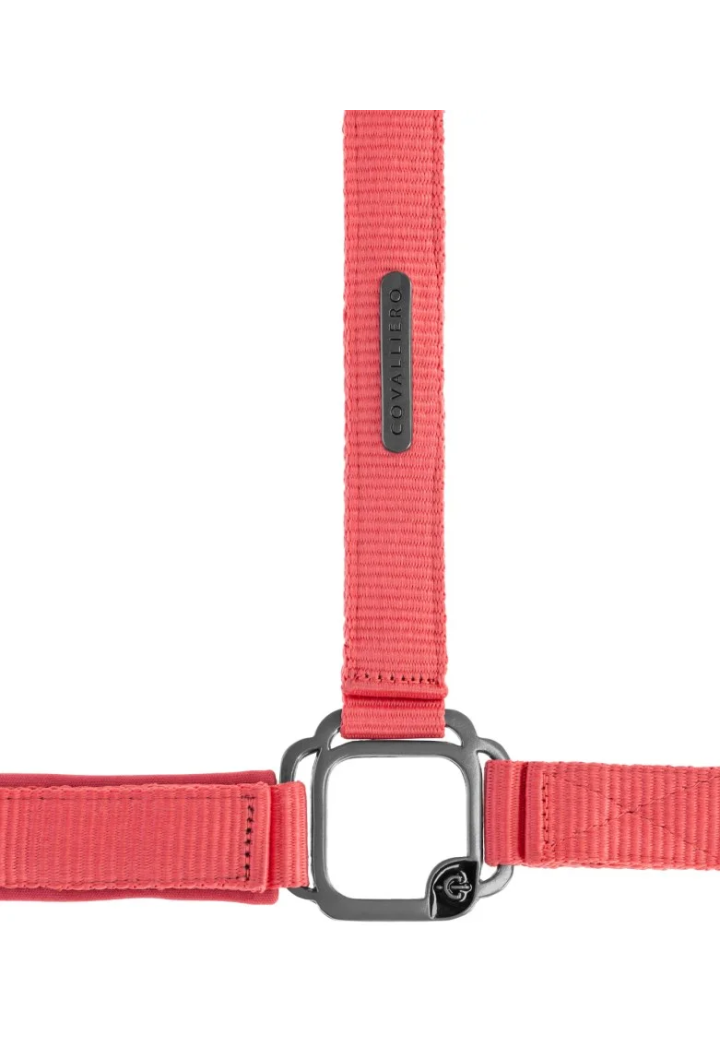Cavezza COVALLIERO 25