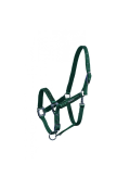 verde scuro