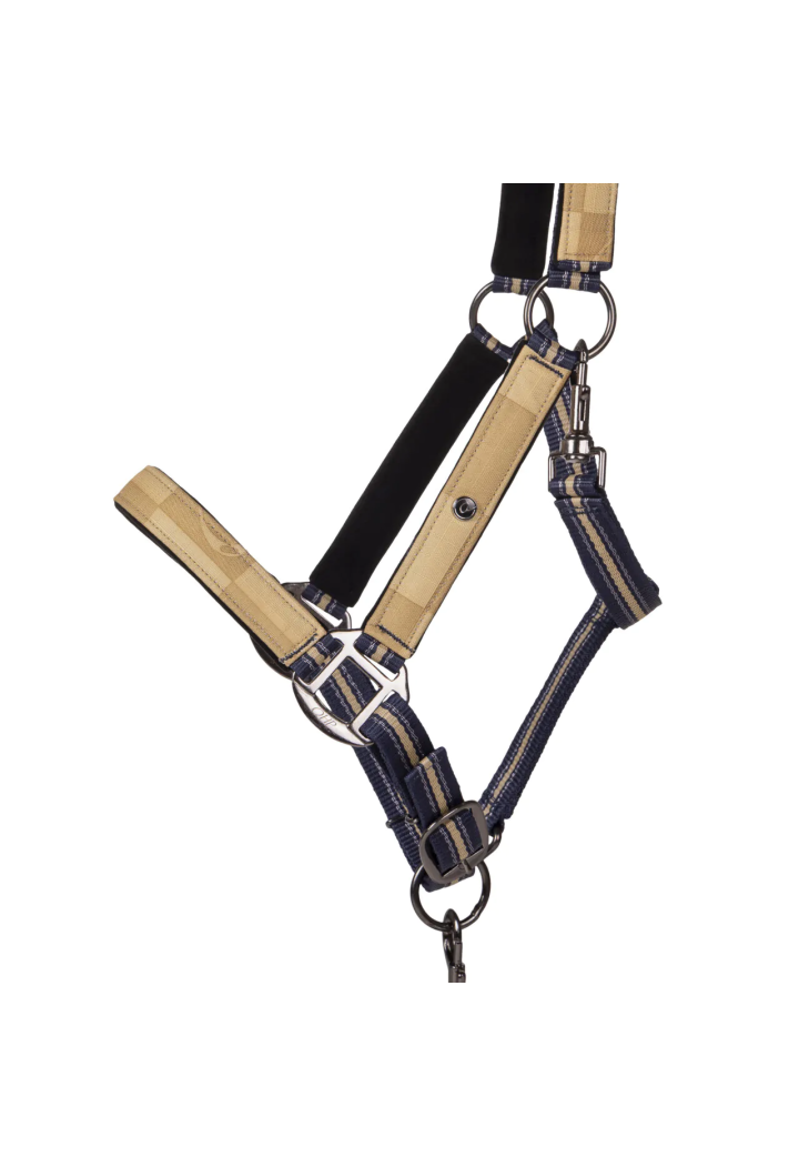 Cavezza con lunghina QHP Collection 25SS