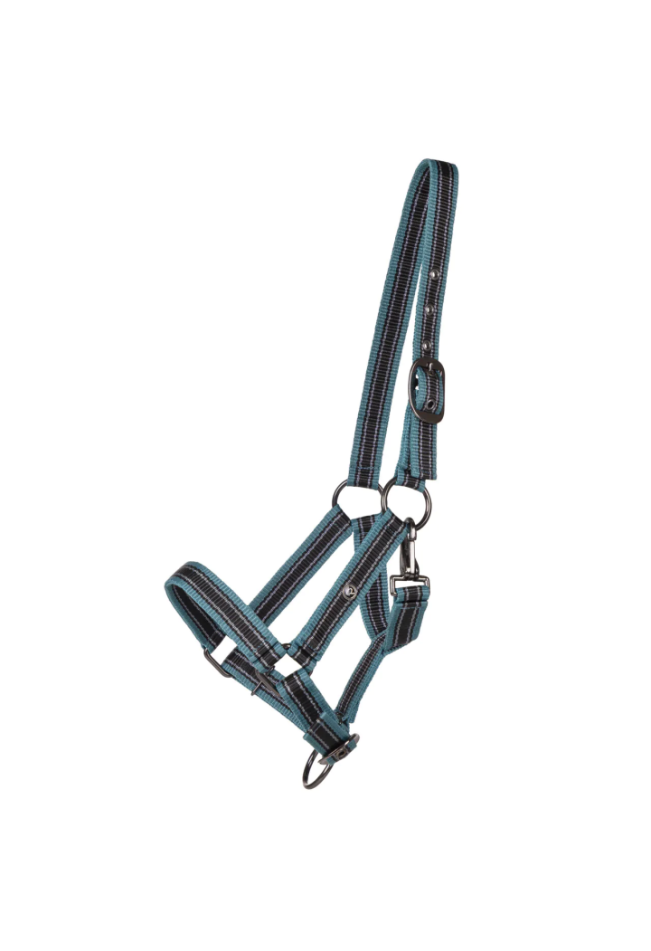 Cavezza Foaled QHP Collection 25SS