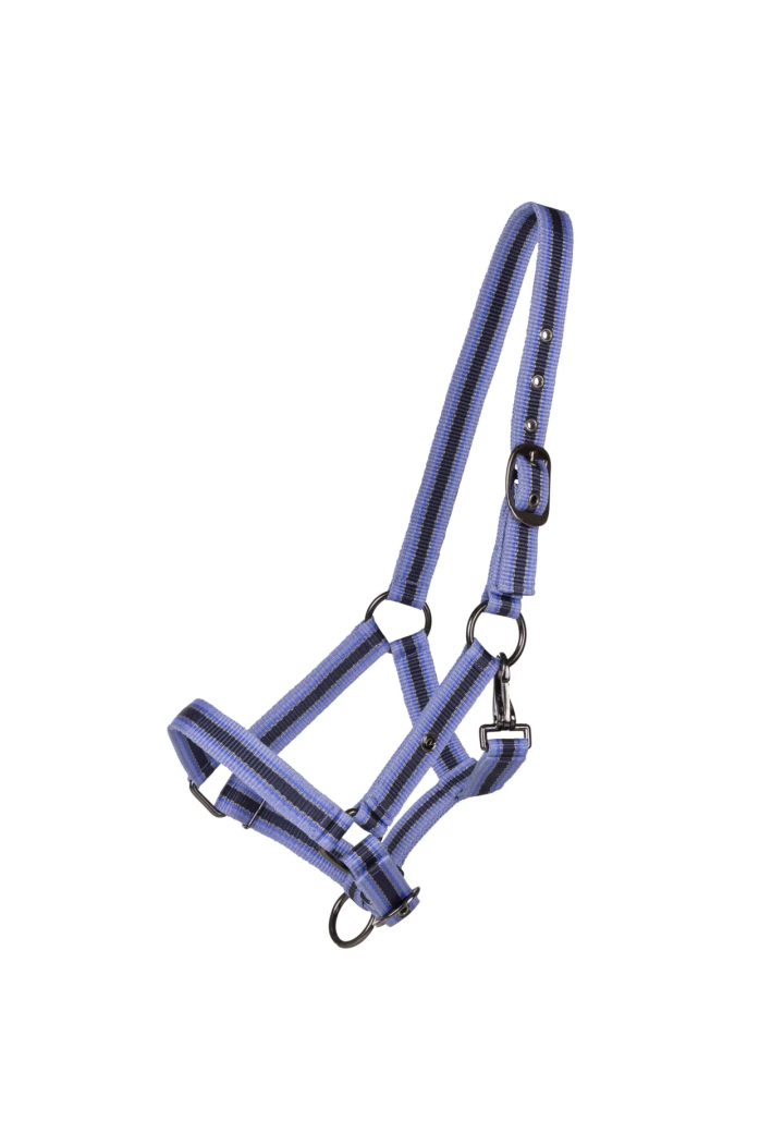 Cavezza Foaled QHP Collection 25SS
