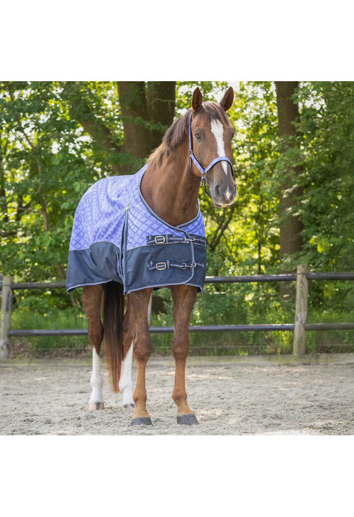 Coperta da paddock QHP Collection 25SS