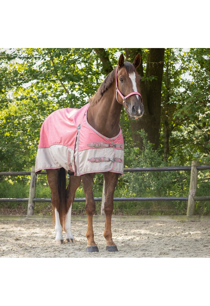 Coperta da paddock QHP Collection 25SS