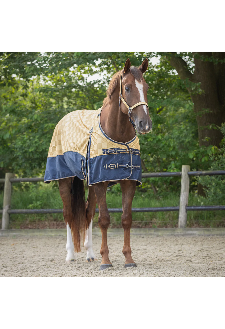 Coperta da paddock QHP Collection 25SS
