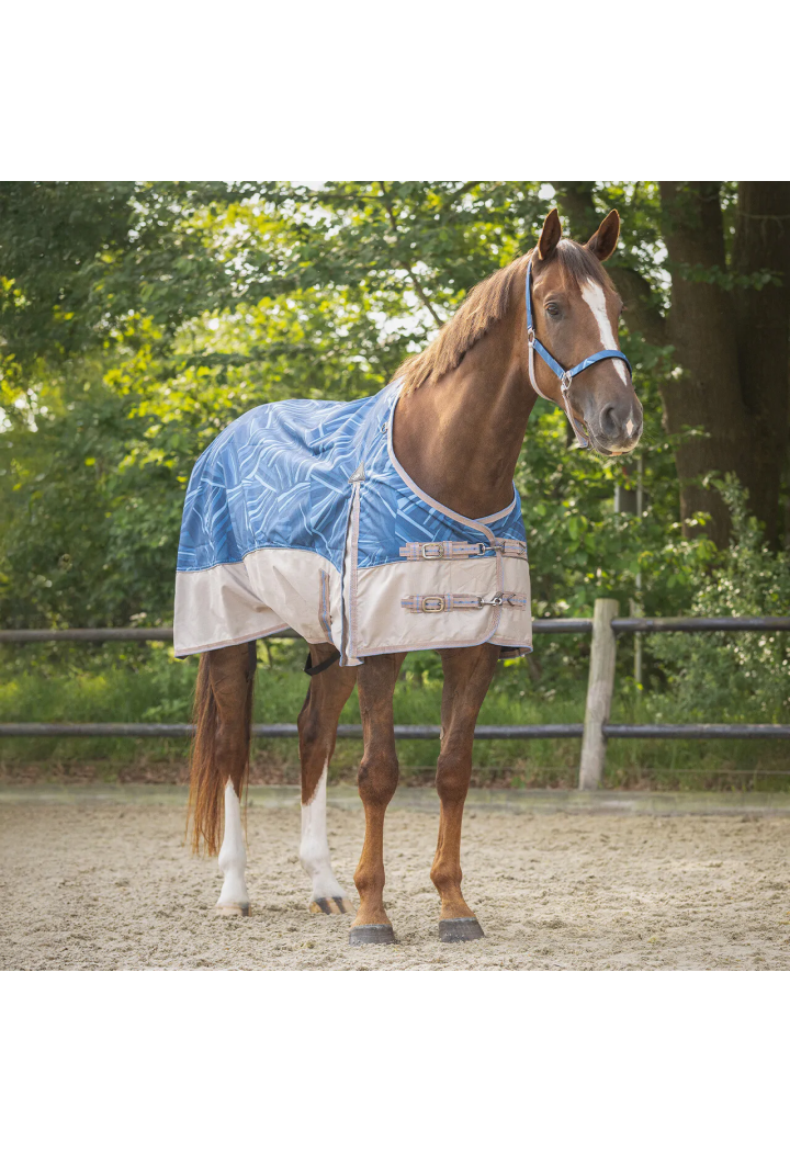 Coperta da paddock QHP Collection 25SS