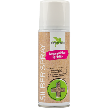 Spray di alluminio B&E SilberSpray 200ml