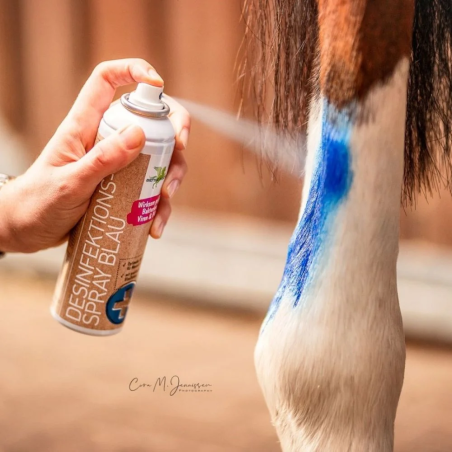 Disinfettare lo spray blu B&E Desinfektion 200ml