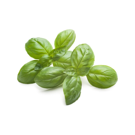 Basilio EQUIHERBS 500g