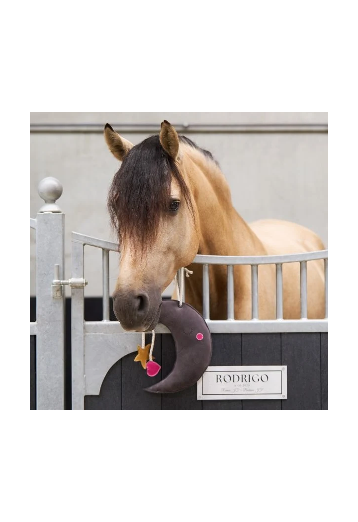 Giocattolo per IR cavallo Stable Buddy Moony grigio