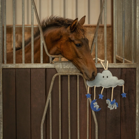 Giocattolo per cavallo QHP Novy