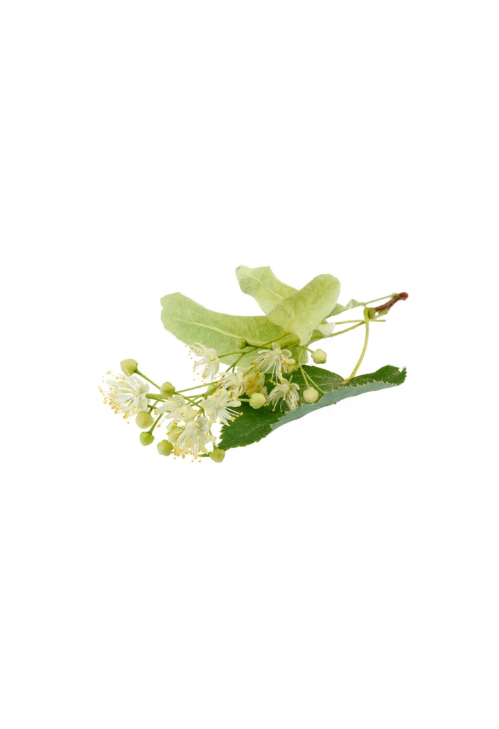 Lipa EQUIHERBS 500g