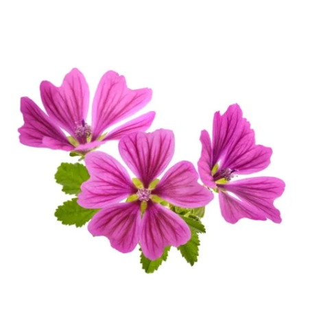 Fiore selvatico di neve EQUIHERBS 500g