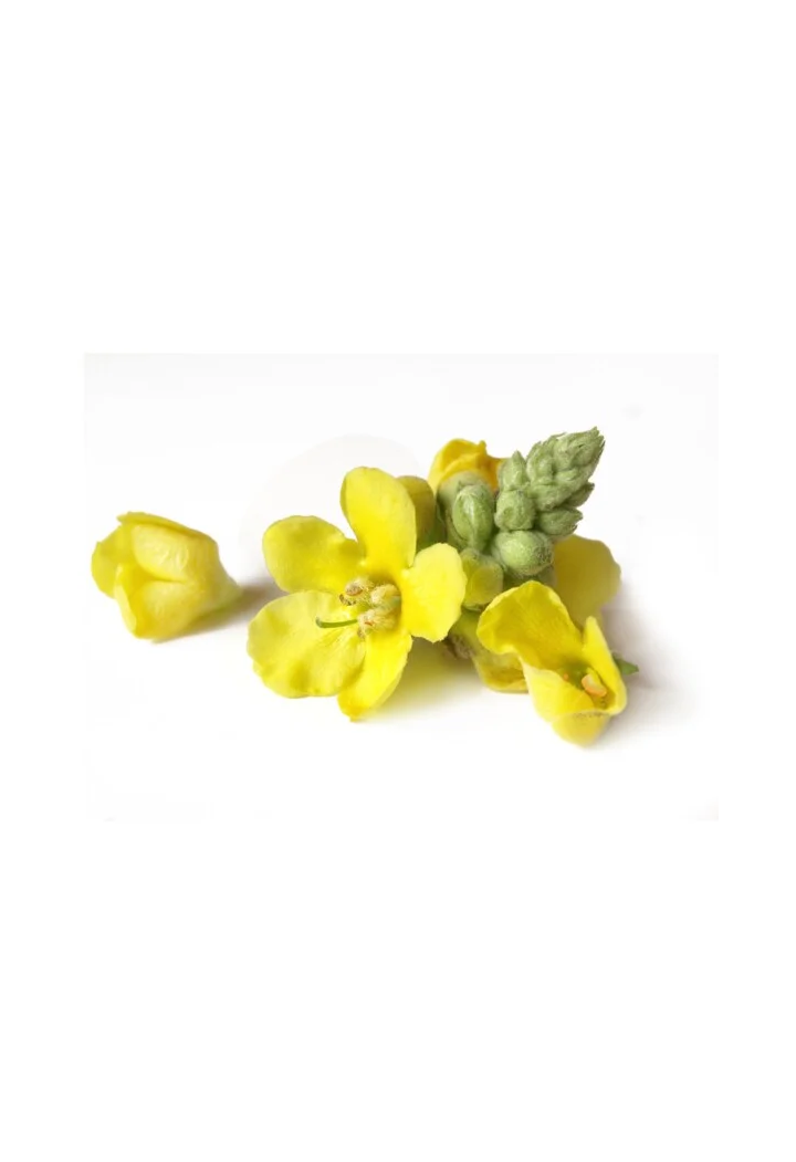 Verbasco fiore EQUIHERBS 500g