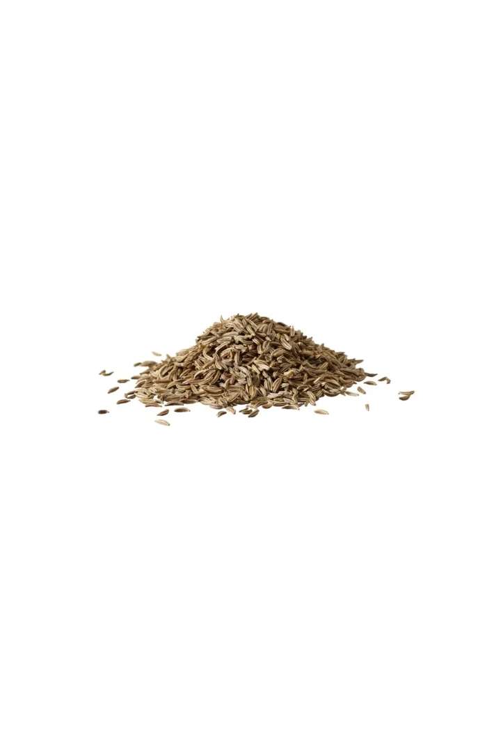 Carvi EQUIHERBS 500g
