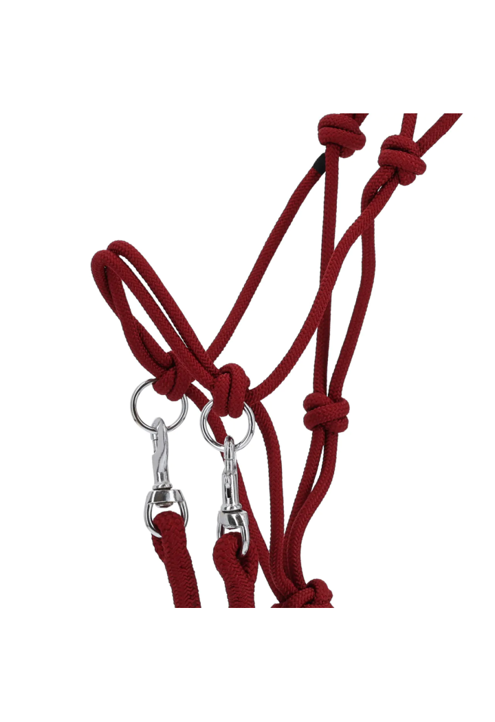 stringa Cavezza con redini QHP colore