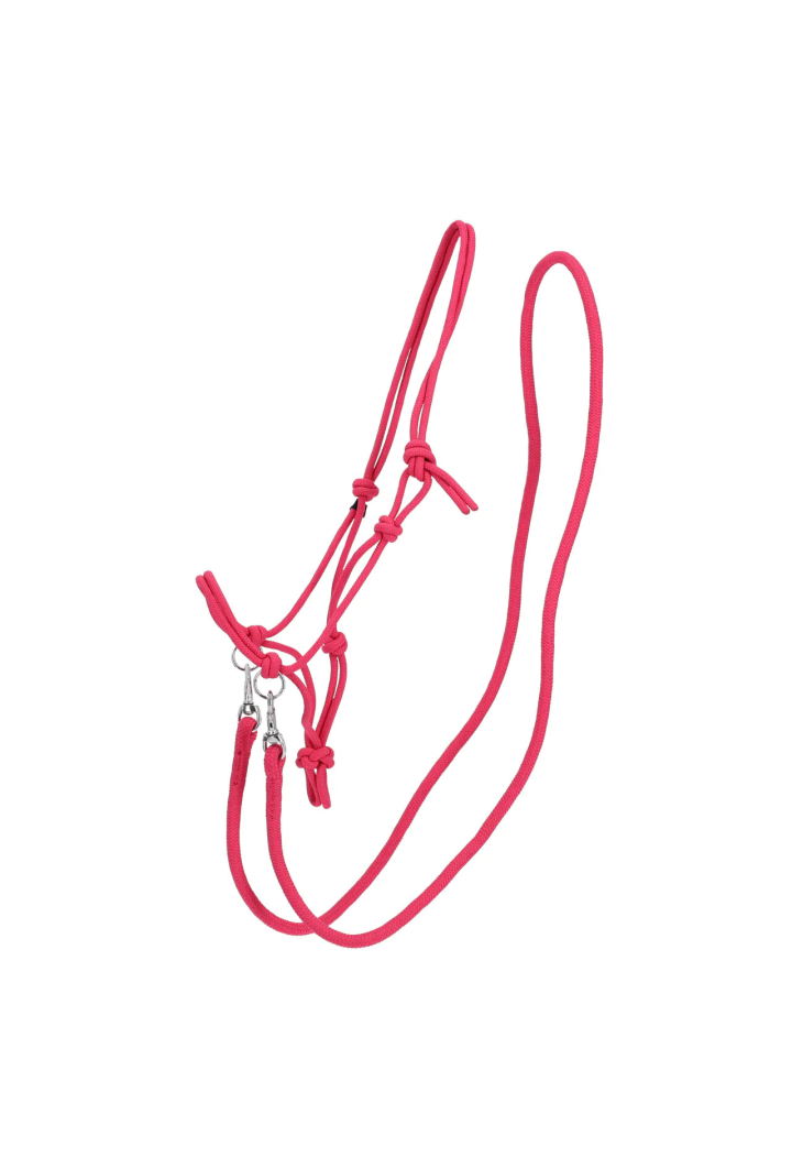 stringa Cavezza con redini QHP colore