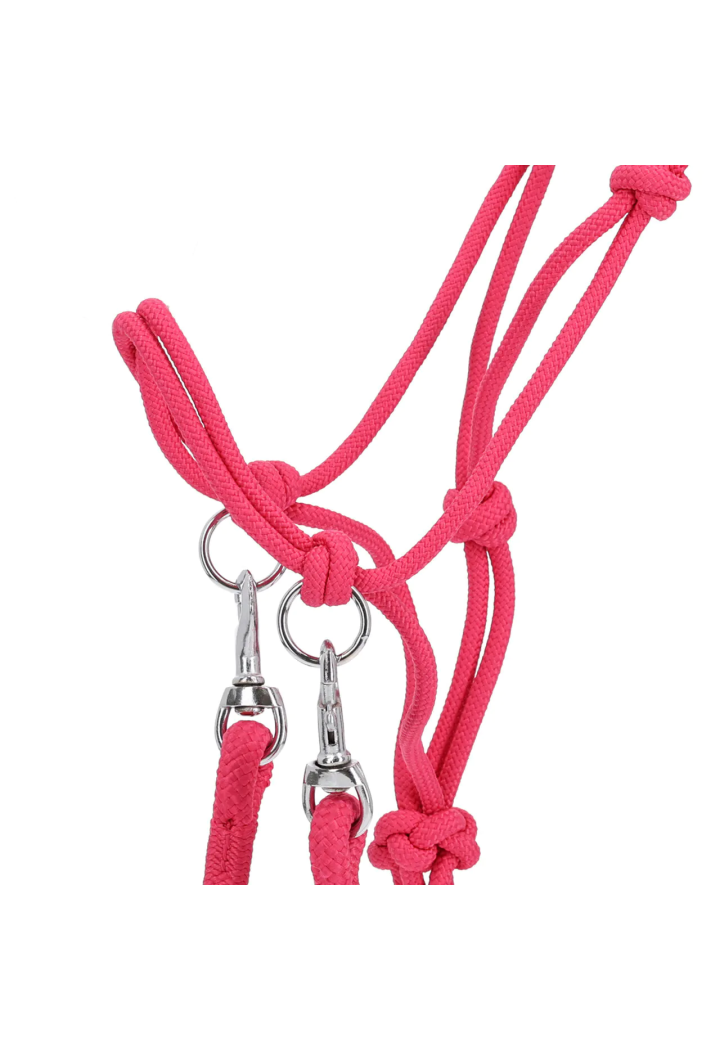stringa Cavezza con redini QHP colore