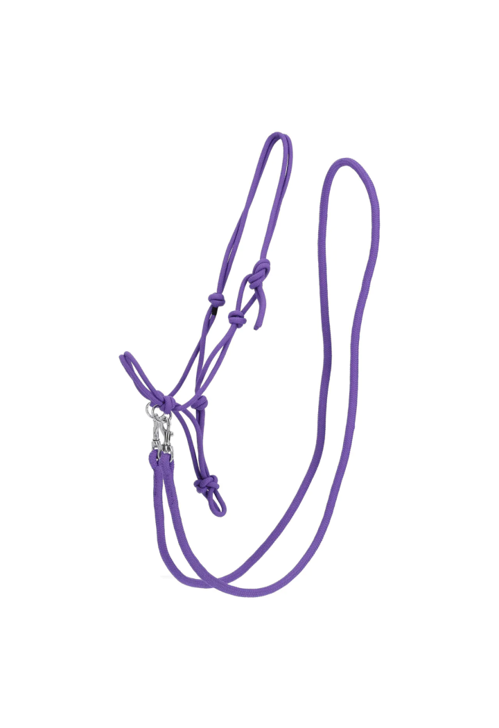stringa Cavezza con redini QHP colore