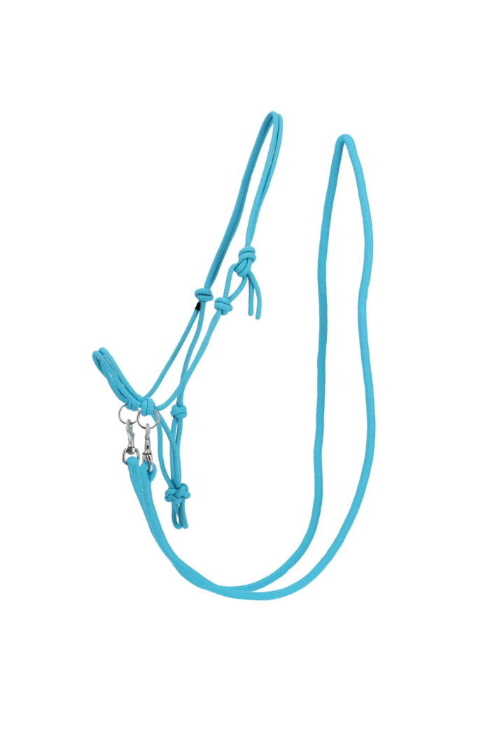 stringa Cavezza con redini QHP colore