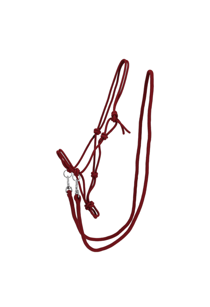 stringa Cavezza con redini QHP colore