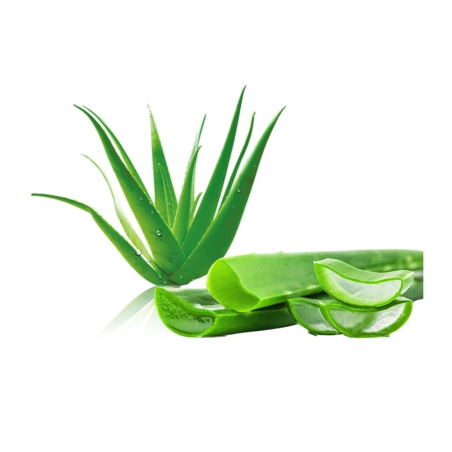 Succo di aloe con polpa bio EQUIHERBS 1l