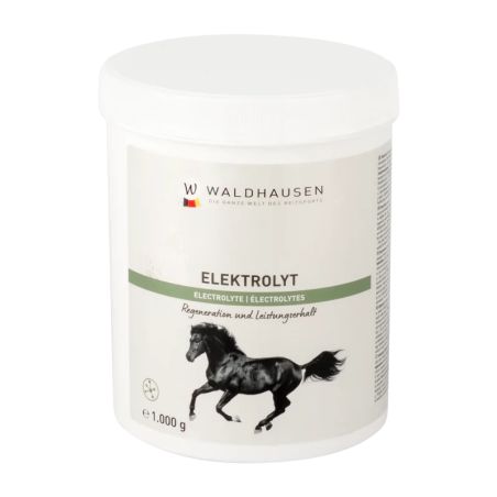 Elettroliti WALDHAUSEN Elektrolyt Powder 1000g