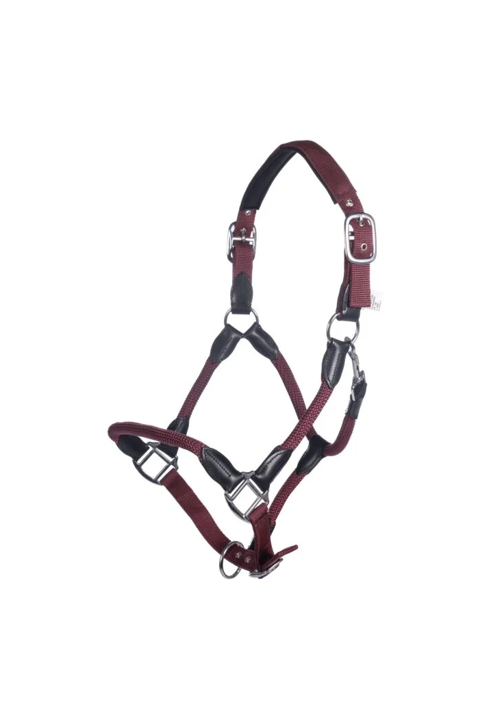 Cavezza HKM Carlotta