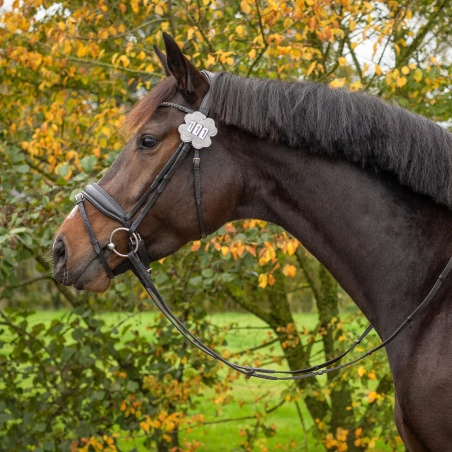 QHP Clover Start Numeri