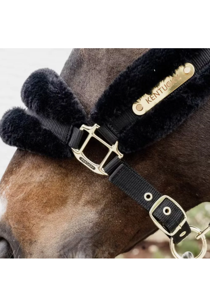 Cavezza KENTUCKY SheepskinSoft