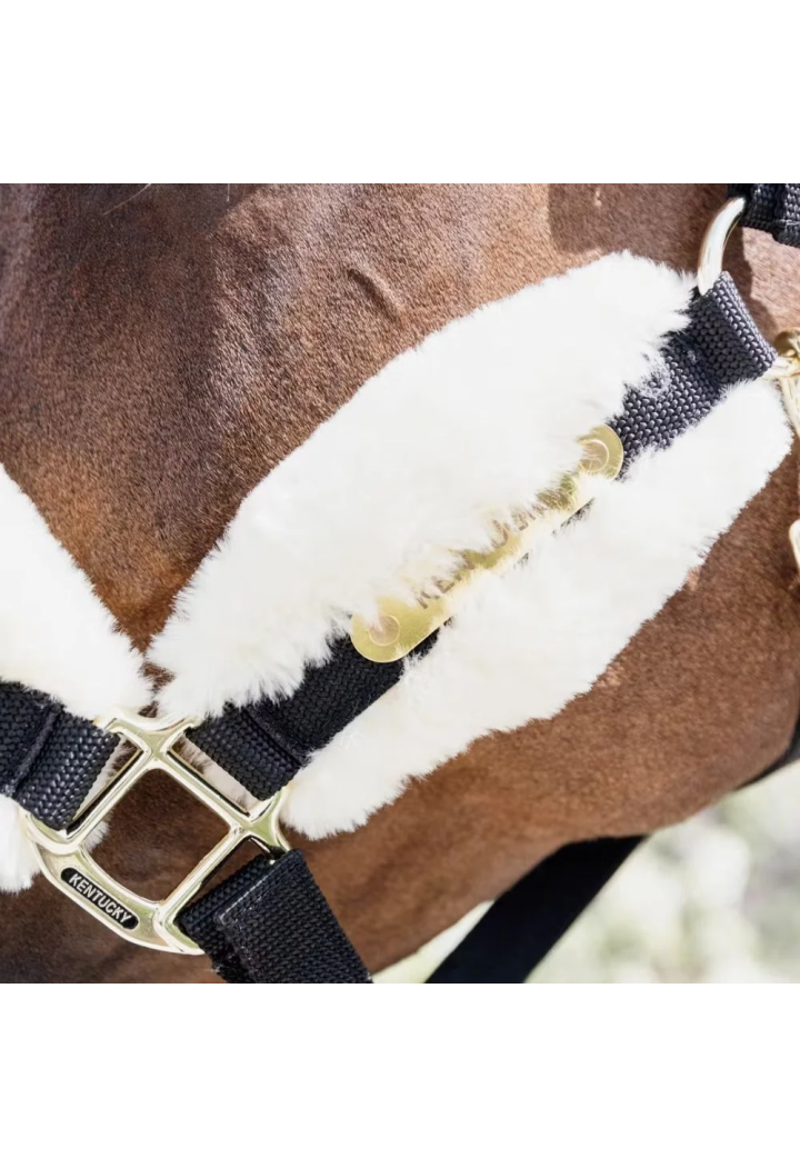 Cavezza KENTUCKY SheepskinSoft