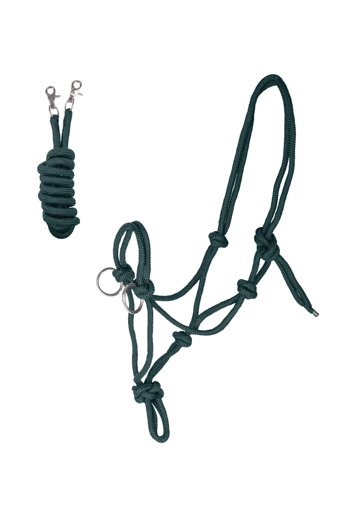 Cavezza stringa WALDHAUSEN con redini
