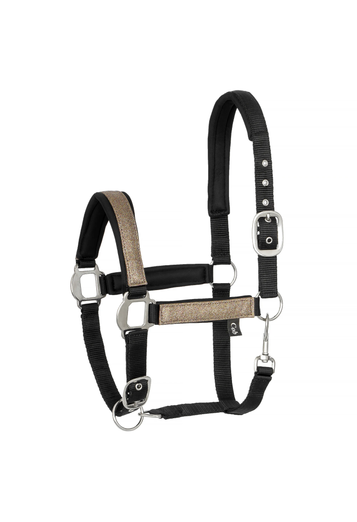 Cavezza START Neoprene Glitter 2 tono