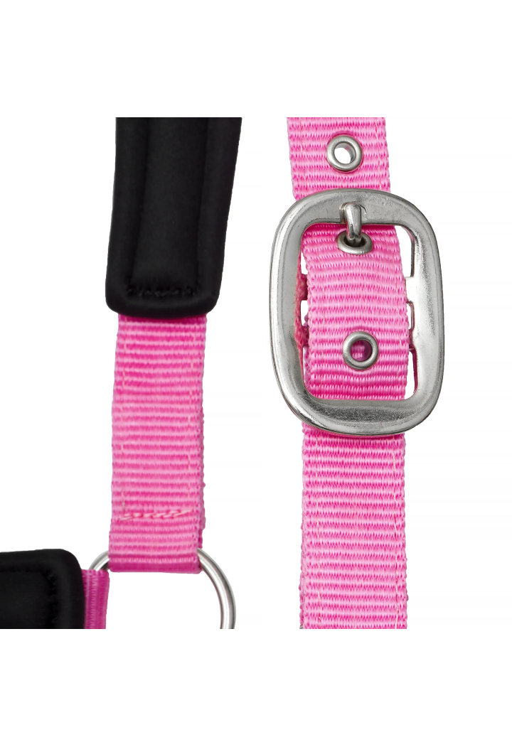 Cavezza START Neoprene Glitter 2 tono