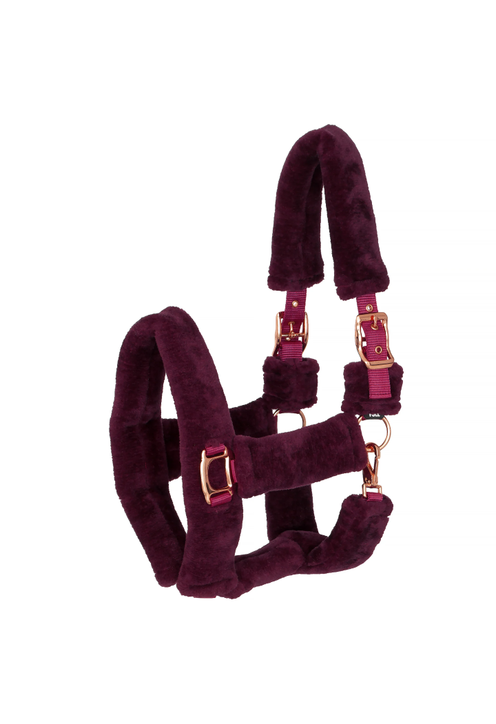 Cavezza START Teddy RoseGold