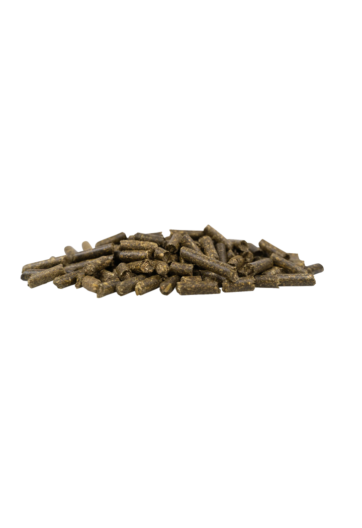 Erba medica JOSERA Kraut&Ruben Luzerne Pur 15kg