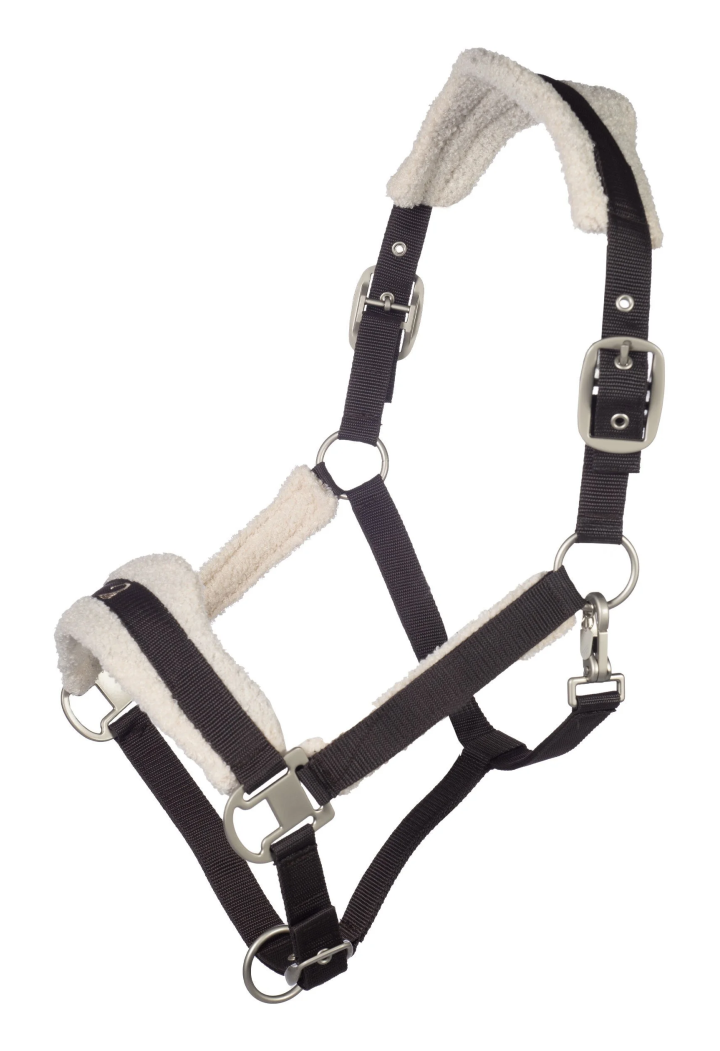 Cavezza HKM Arezzo