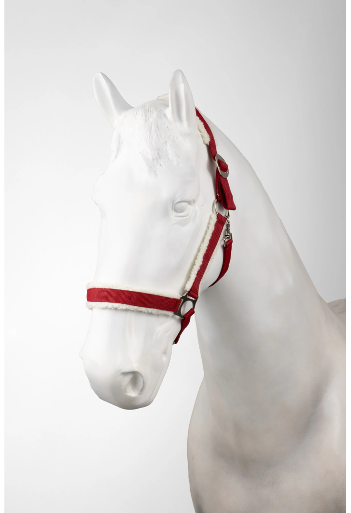 Cavezza HORZE Christmas 25AW