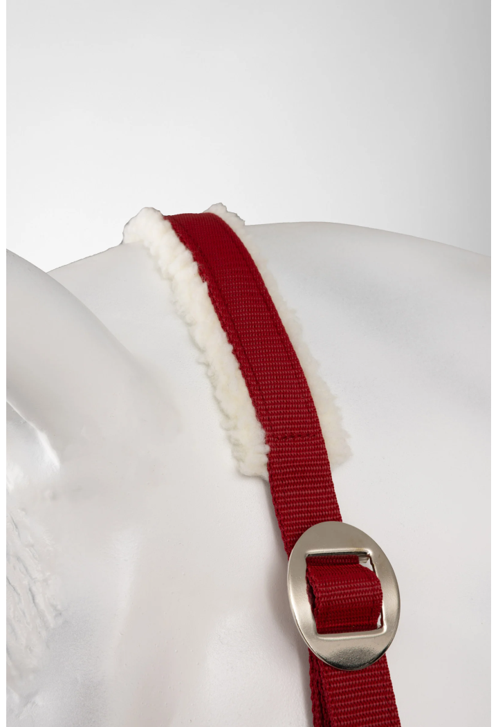 Cavezza HORZE Christmas 25AW