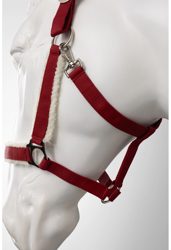 Cavezza HORZE Christmas 25AW