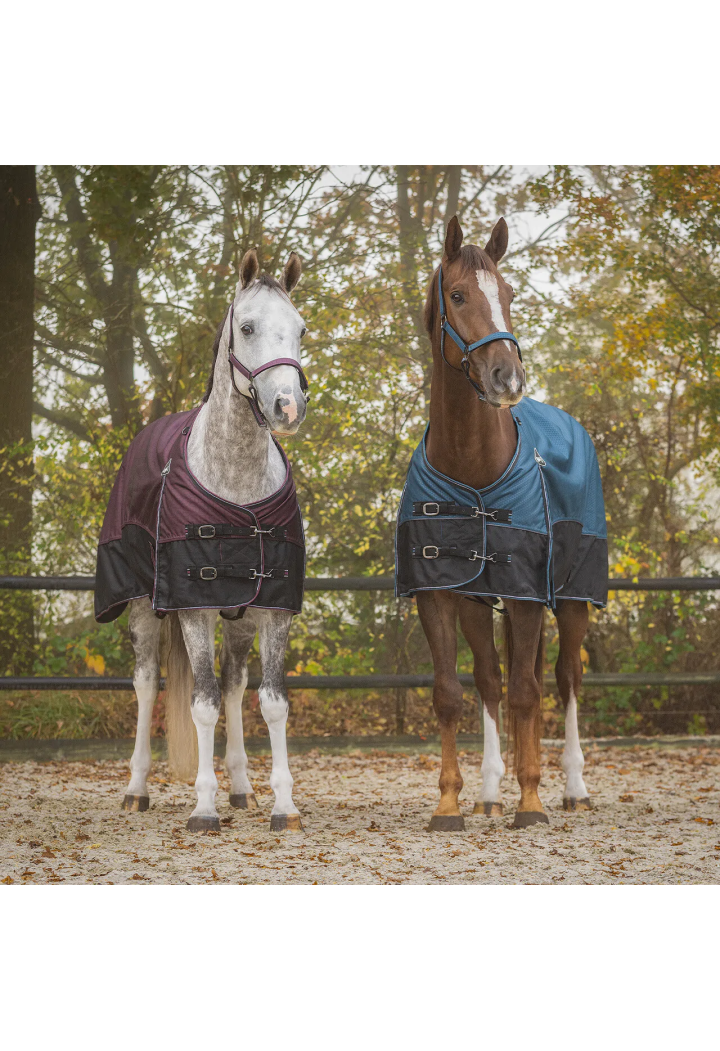 Coperta da paddock QHP Collection 25AW 50gr
