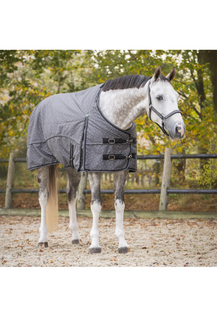 Coperta da paddock QHP Collection 25AW 50gr