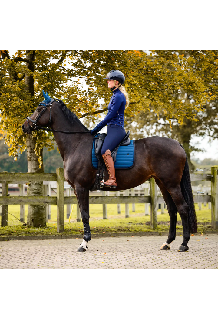 Pantaloni da equitazione QHP Lymee 25AW softshell femmina
