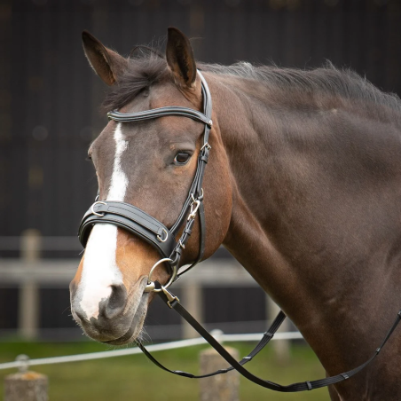 Capezzone HH Bridle Cavesson in pelle