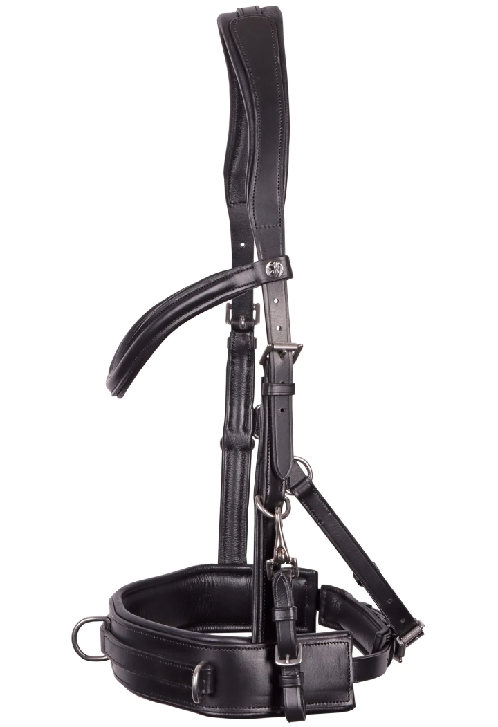 Capezzone HH Bridle Cavesson in pelle