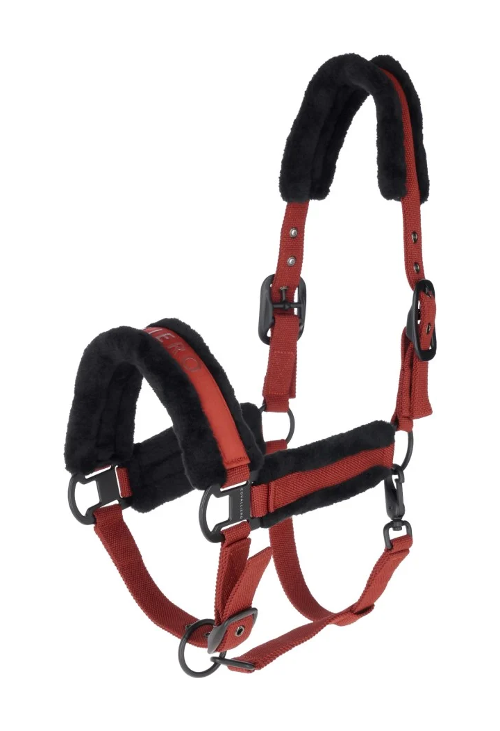 Cavezza COVALLIERO 25AW