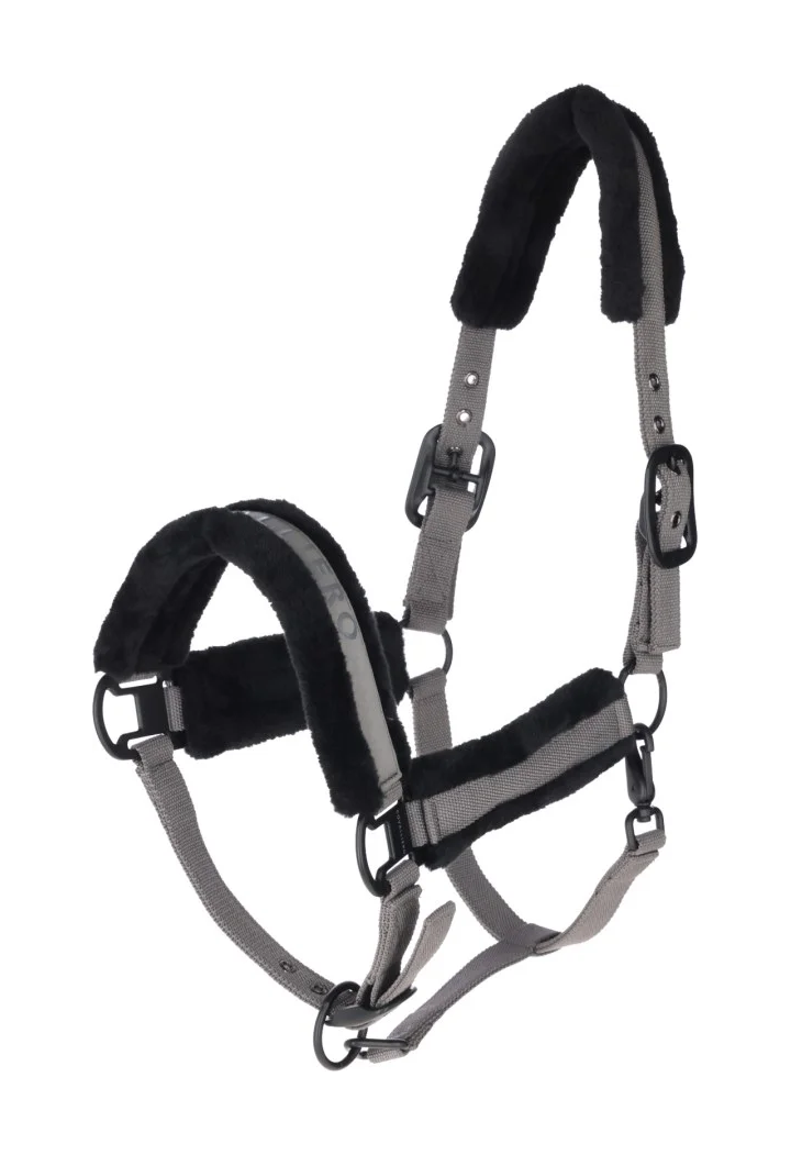 Cavezza COVALLIERO 25AW
