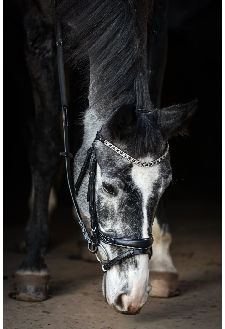 Testiera EQ.QUEEN Electra anatomica