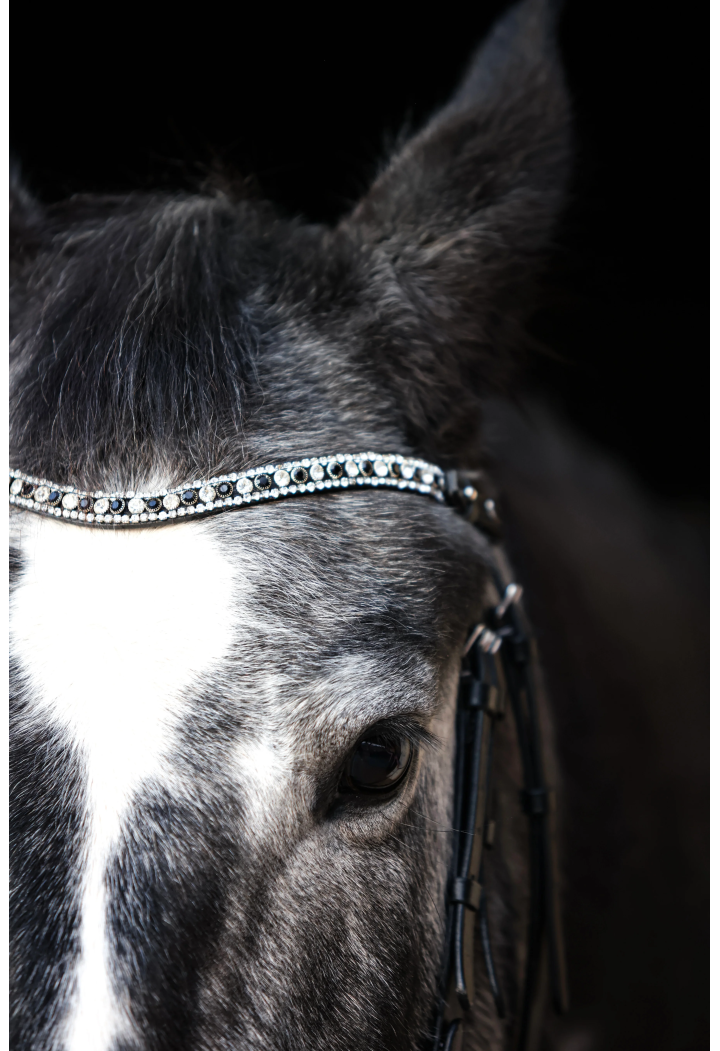 Frontalino EQ.QUEEN Hebe